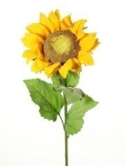 Tournesol artificiel géant