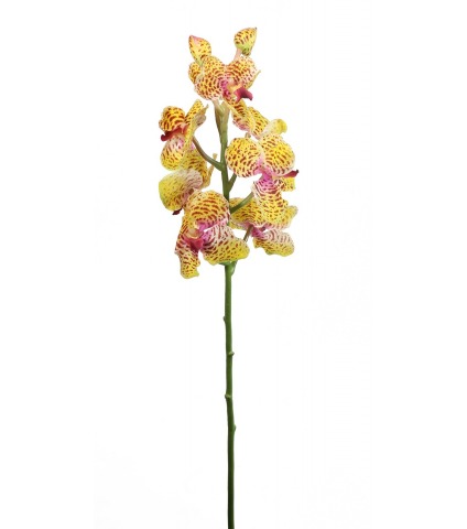 Tige artificielle de vanda orange