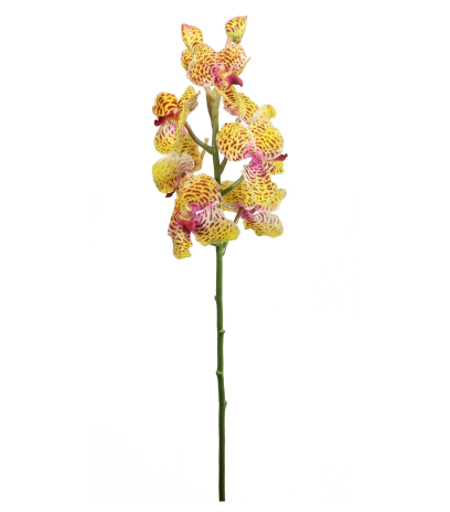 Tige artificielle de vanda orange