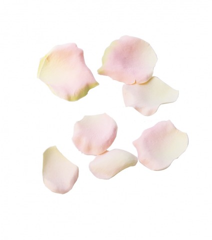 Boîte Pétales de Roses