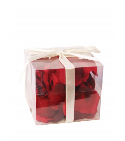 Pétales de roses rouges