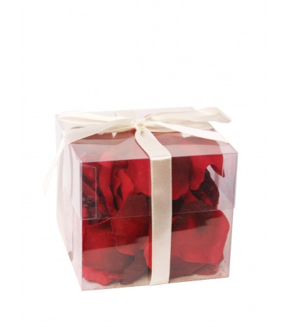 Pétales de roses rouges