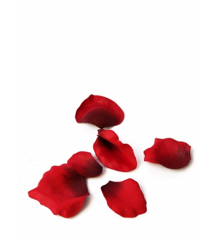Pétales de roses rouges