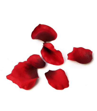 Pétales de roses rouges