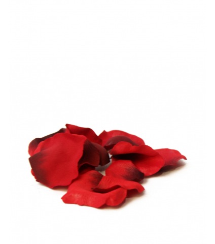 Pétales de roses rouges