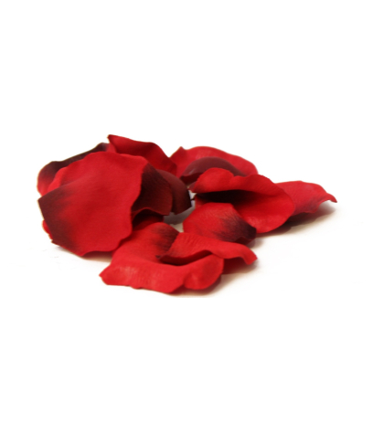 Pétales de roses rouges