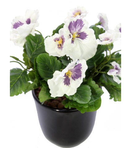 Pensée artificielle blanche et mauve