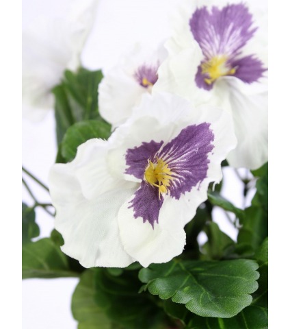 Pensée artificielle blanche et mauve