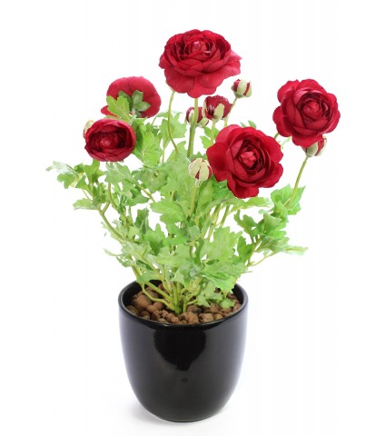 Renoncule artificielle piquet