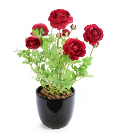 Renoncule artificielle piquet