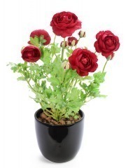 Renoncule artificielle piquet