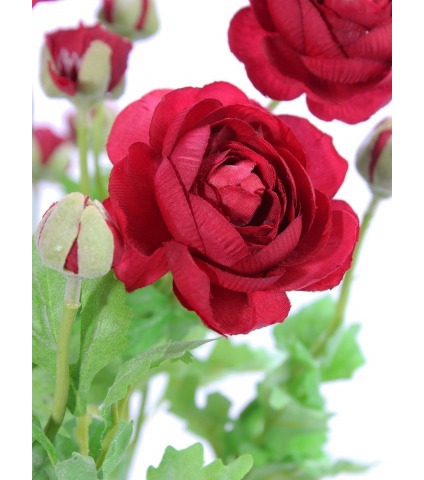 Renoncule artificielle piquet