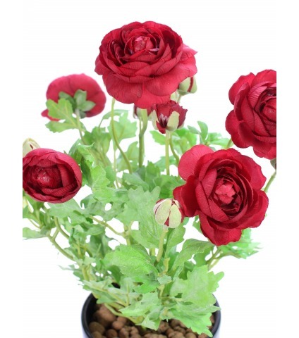 Renoncule artificielle piquet