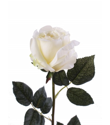 Rose anglaise artificielle