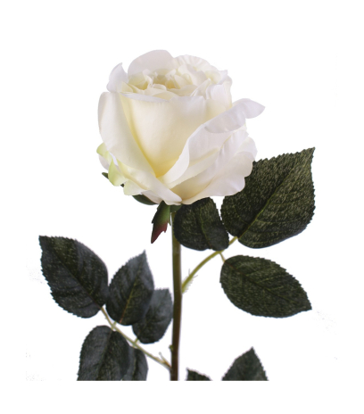 Rose anglaise artificielle