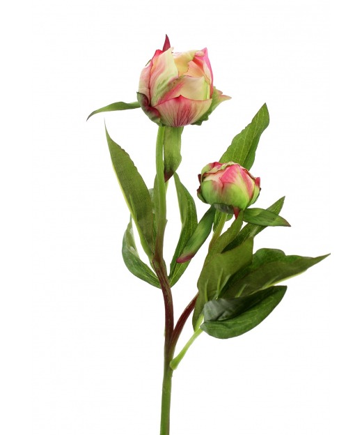 Robe de Mariage Artificielle Rose Bourgeons voile irisé en Boutonnière Bouquet 