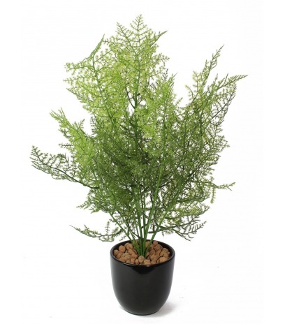 Asparagus artificiel