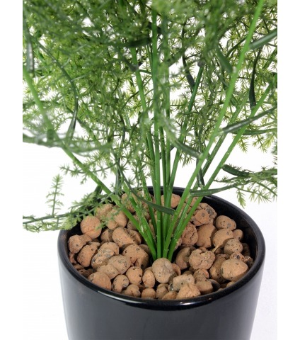 Asparagus artificiel