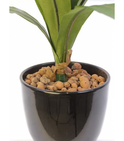 Asplenium artificiel sur piquet