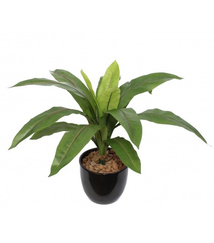 Asplenium artificiel sur piquet