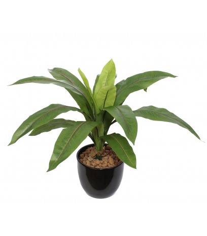 Asplenium artificiel sur piquet