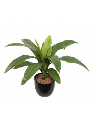 Asplenium artificiel sur piquet