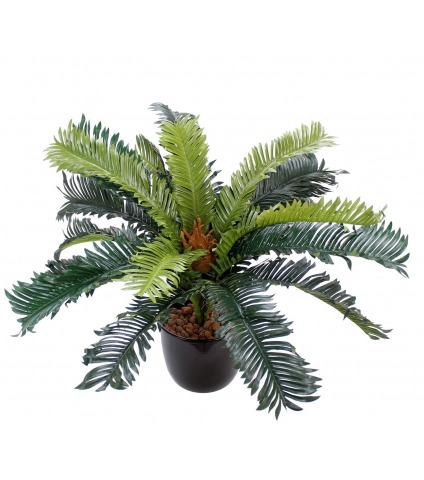 Palmier artificiel du japon
