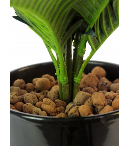 Palmier artificiel du japon