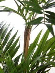 Palmier bambou artificiel