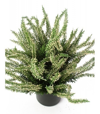 Bruyère blanche artificielle