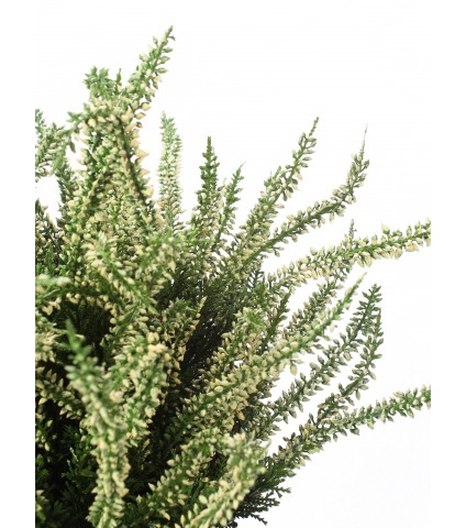 Bruyère blanche artificielle