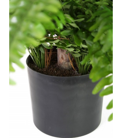 Fougère artificielle géante boston