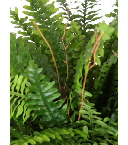 Fougère artificielle géante boston