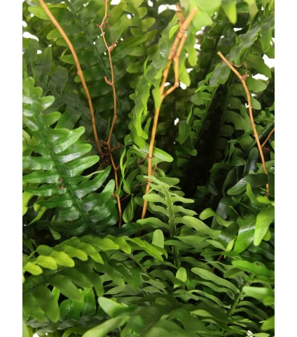 Fougère artificielle géante boston