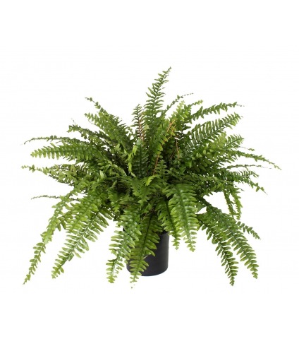Fougère artificielle géante boston