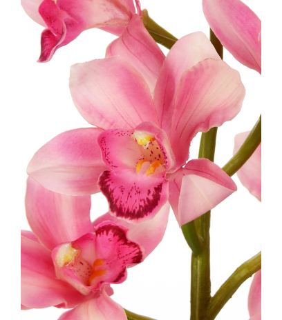 Cymbidium artificiel rose