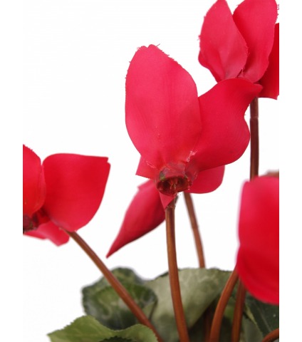 Cyclamen artificiel de perse
