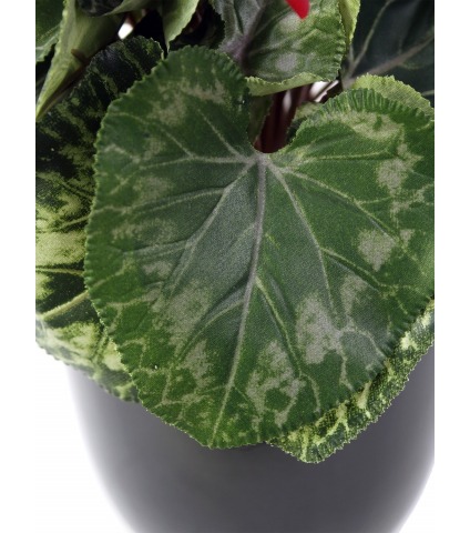 Cyclamen artificiel de perse