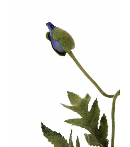 Coquelicot artificiel bleu