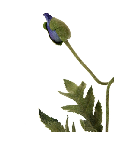 Coquelicot artificiel bleu