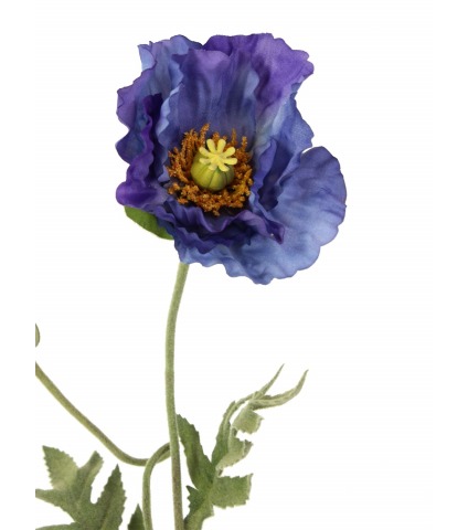 Coquelicot artificiel bleu