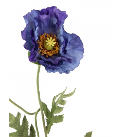 Coquelicot artificiel bleu