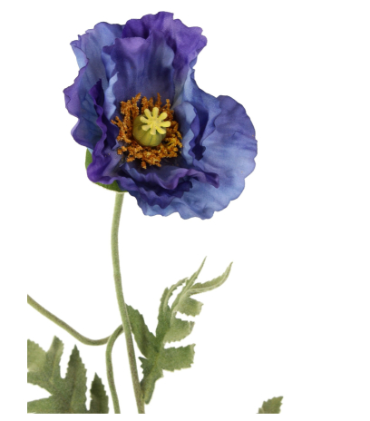 Coquelicot artificiel bleu