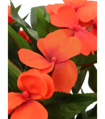 Impatiens artificielle walleriana