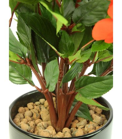Impatiens artificielle walleriana