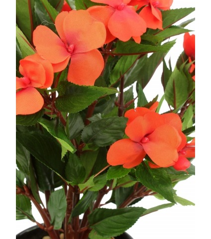 Impatiens artificielle walleriana