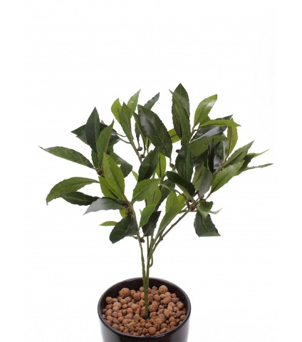 Feuille de laurier artificielle