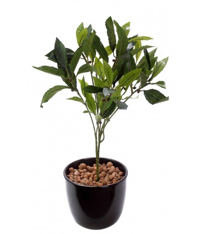 Feuille de laurier artificielle