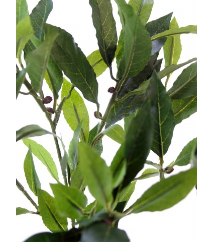 Feuille de laurier artificielle