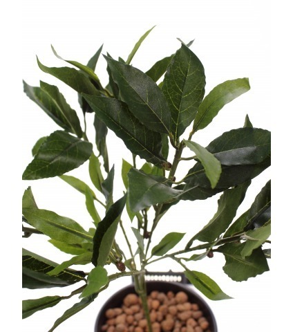 Feuille de laurier artificielle